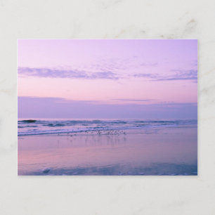 Dawn at the Beach Postcard