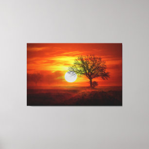 Dawn Canvas Print
