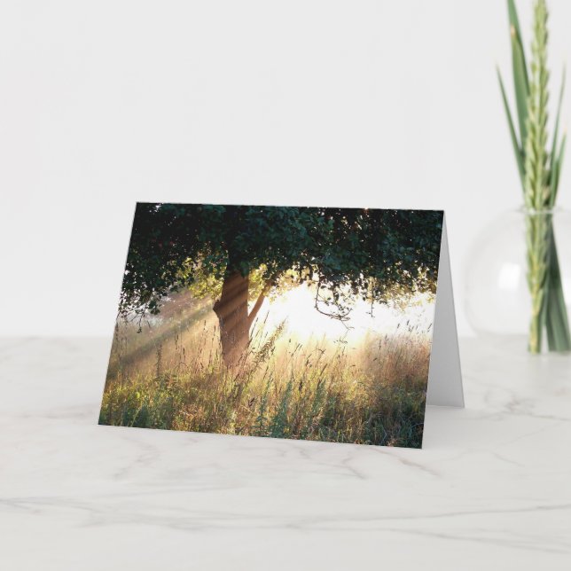 Dawn Deepest Sympathy Card (Front)