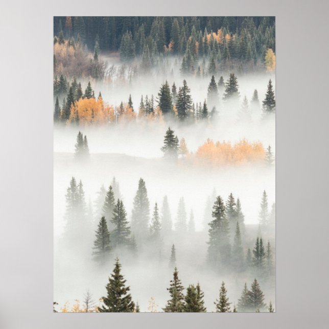 Dawn Ground Fog Covers Mountain Forest Poster (Front)