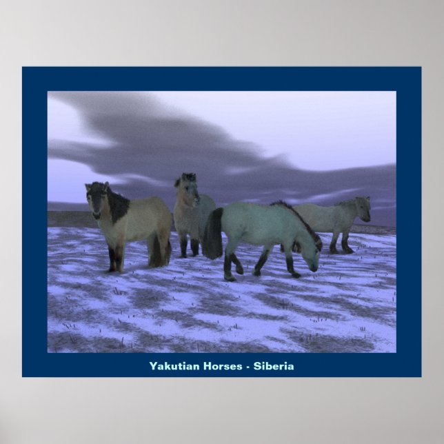 Dawn Horse Poster (Front)