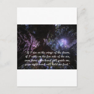 Dawn Rising Postcard