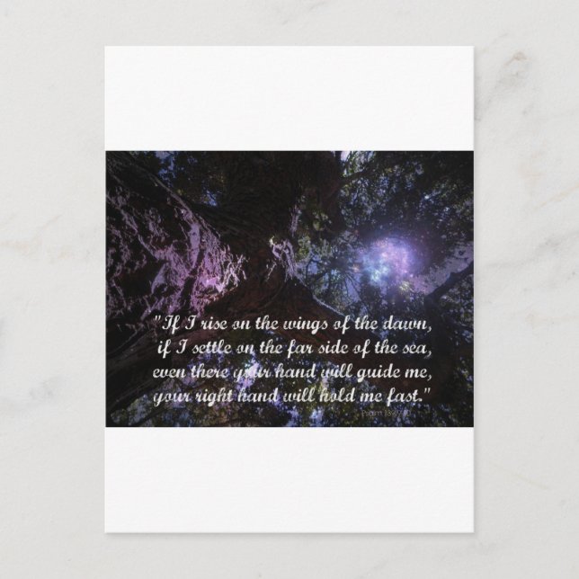 Dawn Rising Postcard (Front)