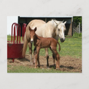 Day 1 - Mother and Son Postcard
