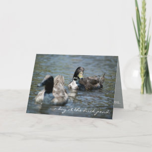 "day at the duck pond." Bay Saint Louis GREETING C Card