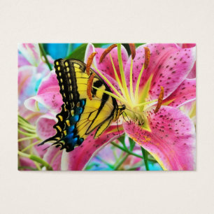 Day Dream , profile card