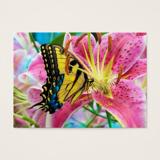 Day Dream , profile card (Front)