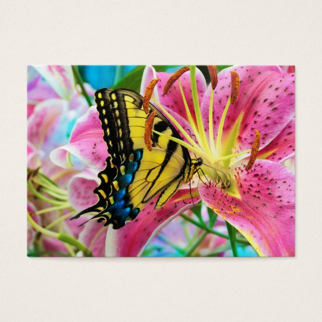 Day Dream , profile card (Front)