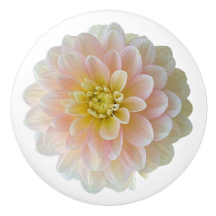Day Dreamer Waterlily Dahlia Ceramic Knob