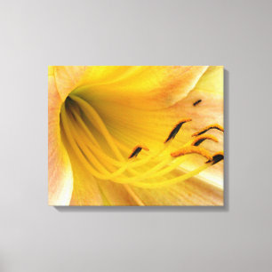 Day lily - canvas print