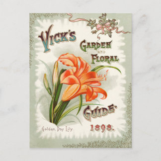 Day Lily Seed Packet Vintage Postcard