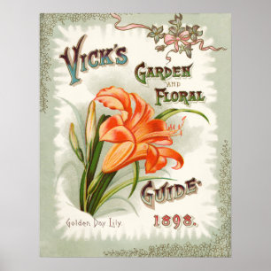 Day Lily Seed Packet Vintage Print