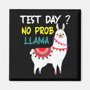 Day No Prob-llama Llama Teacher Testing Day For Te Magnet
