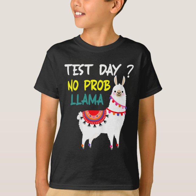 Day No Prob-llama Llama Teacher Testing Day For Te T-Shirt (Front)