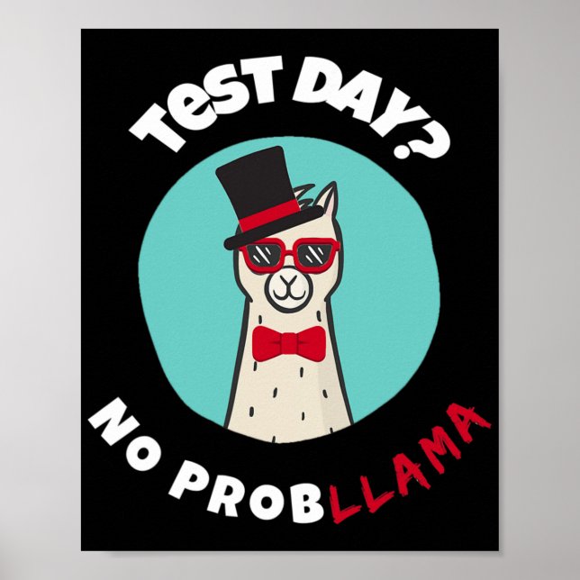 Day No Probllama Funny Testing Llama Design  Poster (Front)