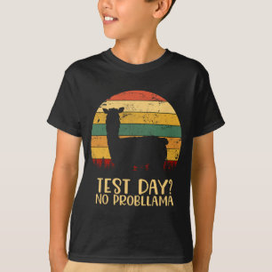 Day No Probllama Silhouette Teacher Student Gradua T-Shirt