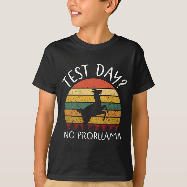 Day No Probllama State Testing Teacher Student Boy T-Shirt (Front)