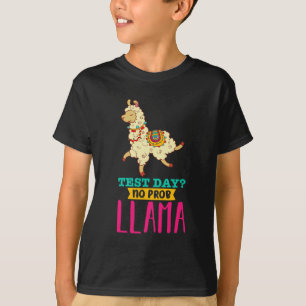 Day No Probllama T Shirt Llama Gift School Profess