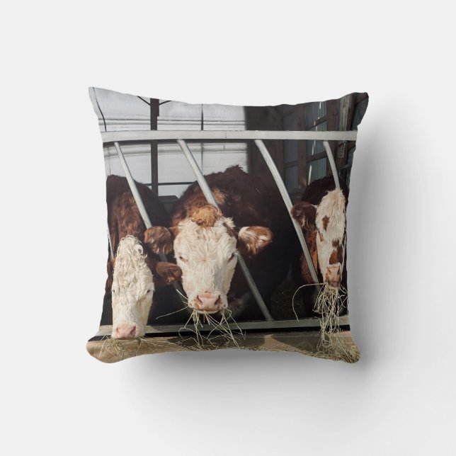 Day on the Farm Cushion (Front)