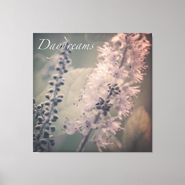 Daydreams Mountain Holly Canvas Print (Front)