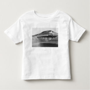 Daylight Limited Railroad over Tressel Toddler T-Shirt