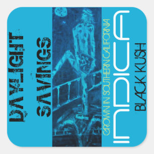 DAYLIGHT SAVINGS INDICA SQUARE STICKER