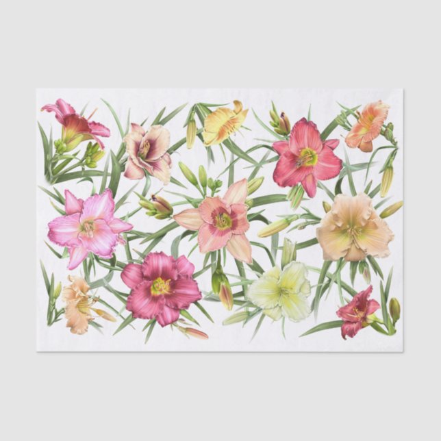 Daylilies All Over Tissue Paper (Front)