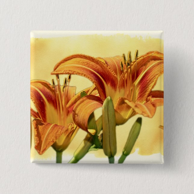 Daylilies - Hemerocallis 15 Cm Square Badge (Front)