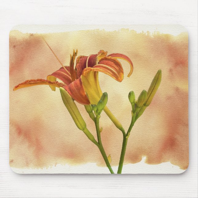 Daylilies - Hemerocallis Mouse Pad (Front)