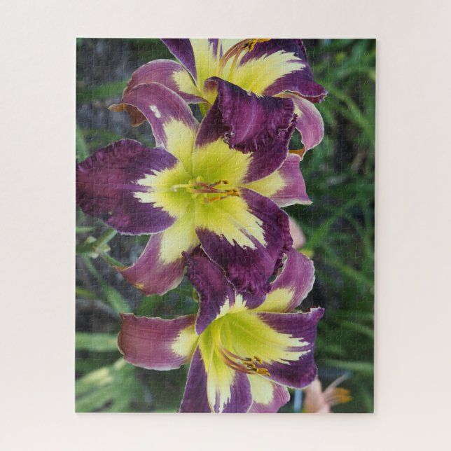 Daylilies Jigsaw Puzzle (Vertical)