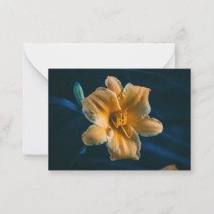 Daylily Card
