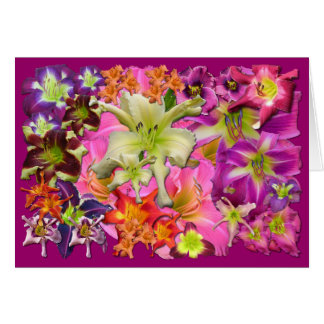 Daylily Collage