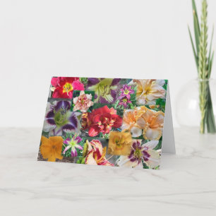 Daylily Collage Card