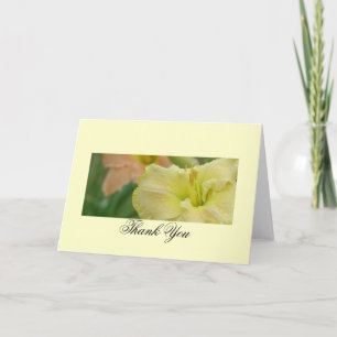 Daylily Dreams Thank You Card