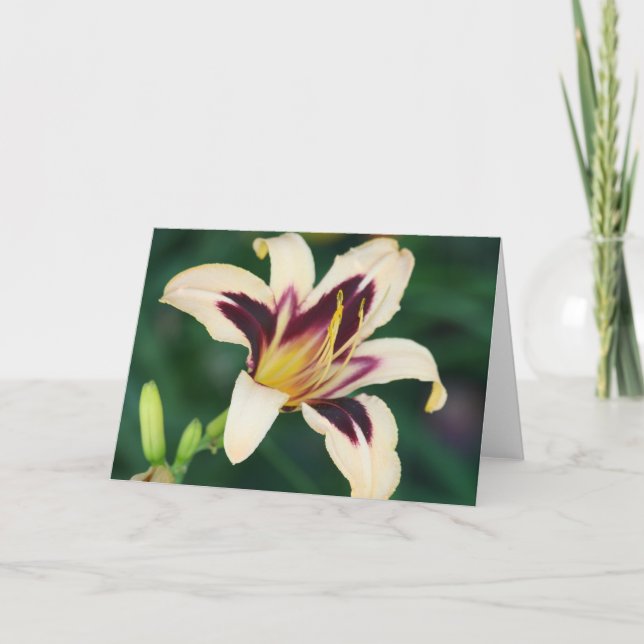 Daylily 'Egyptian Queen' Card (Front)