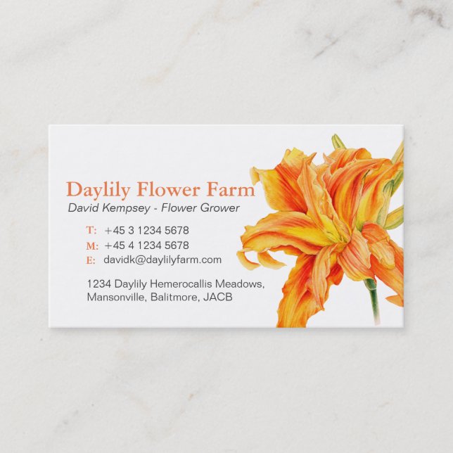 Daylily farmer / flower grower business cards (Front)