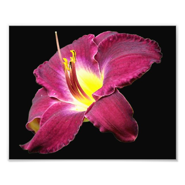 Daylily Flower Close Up 8x10 Photo Print (Front)