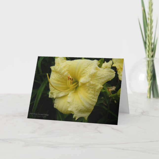 Daylily Flower / Pastel Lemon Cream Yellow Card (Front)