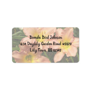Daylily Flowers Trio / Pink And Yellow Label