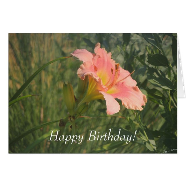 Daylily in the Sun (Front Horizontal)