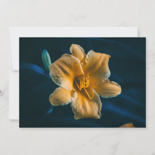 Daylily Invitation