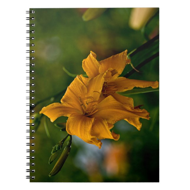 Daylily "Jersey Spider" Notebook (Front)