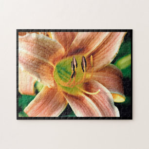 Daylily Macro Jigsaw Puzzle