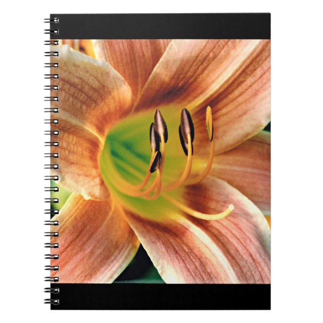 Daylily Macro Notebook (Front)