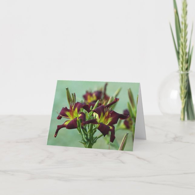 Daylily Note Card (Front)