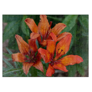 Daylily Orange Canadian Flower Photography Cutting Board