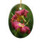 Daylily Ornament