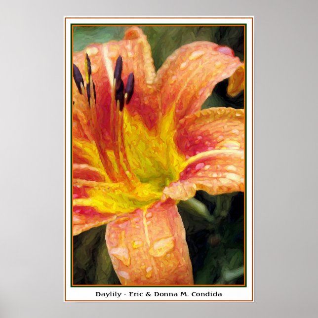 Daylily Poster (Front)