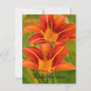 Daylily Save The Date Card