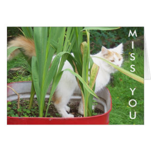 DAYS ARE DREARY/NIGHTS ARE LONELY **MISS YOU**